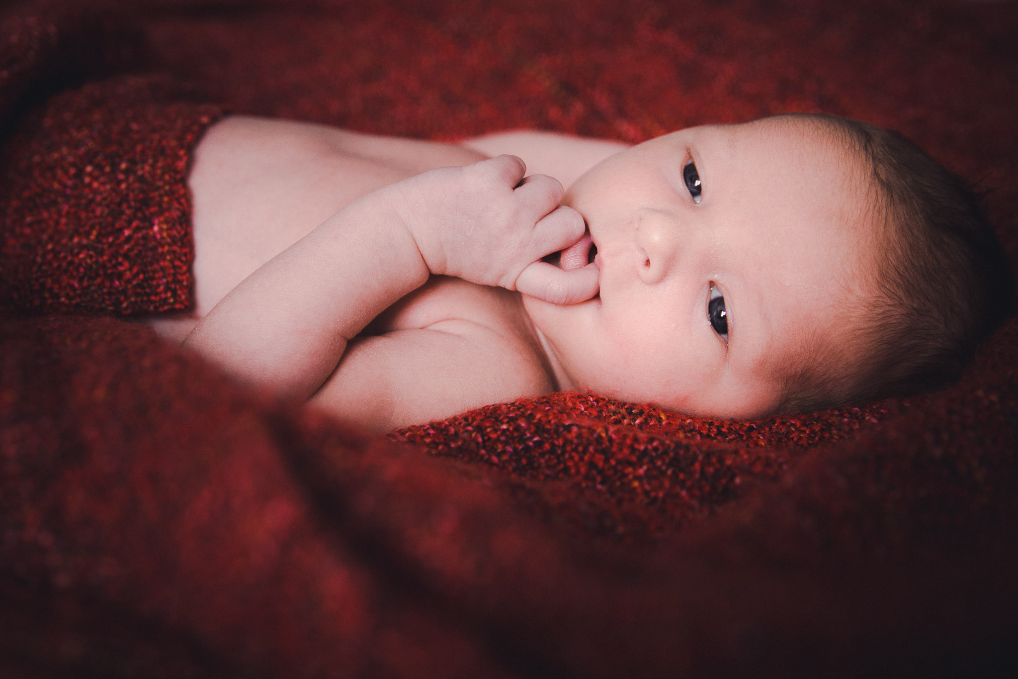 newborn fotografie veendam