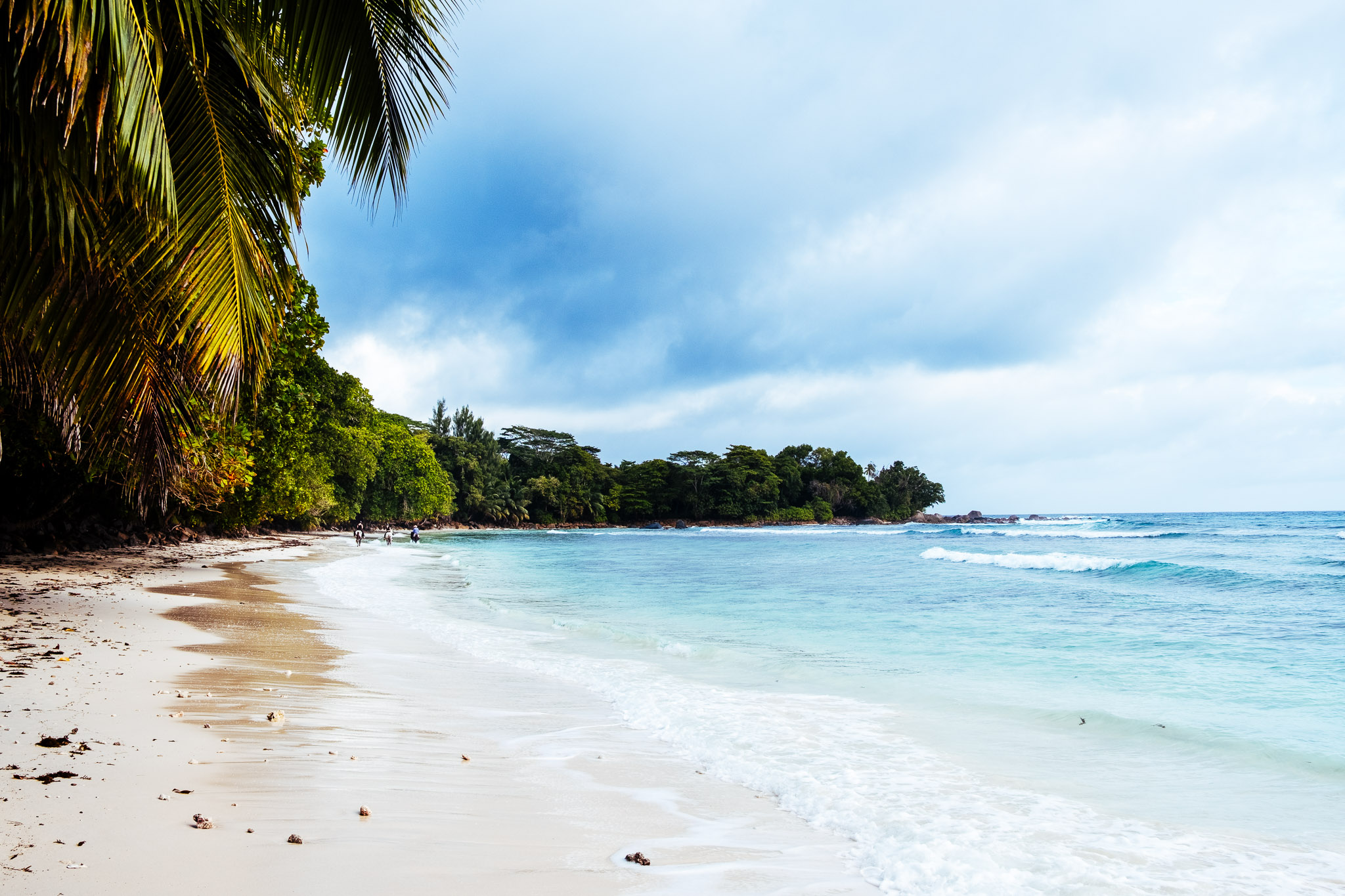 Seychellen 2025 fotoreportage vakantie