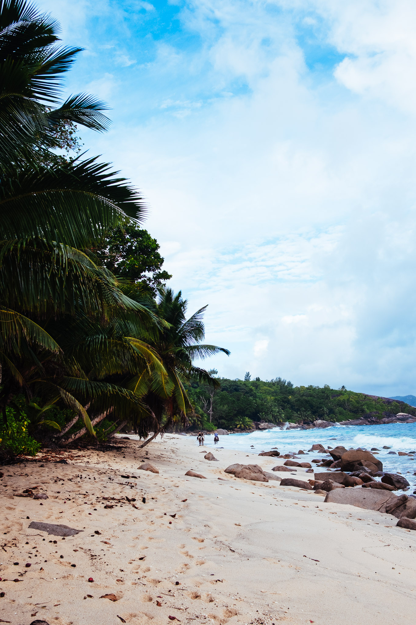 Seychellen 2025 fotoreportage vakantie