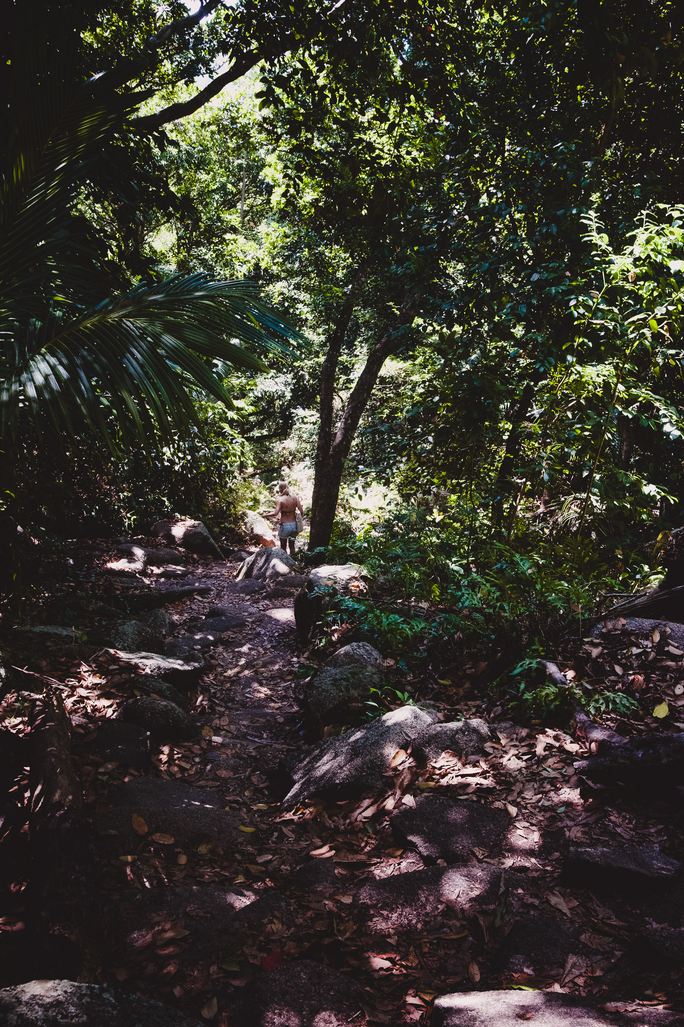 Seychellen 2025 fotoreportage vakantie