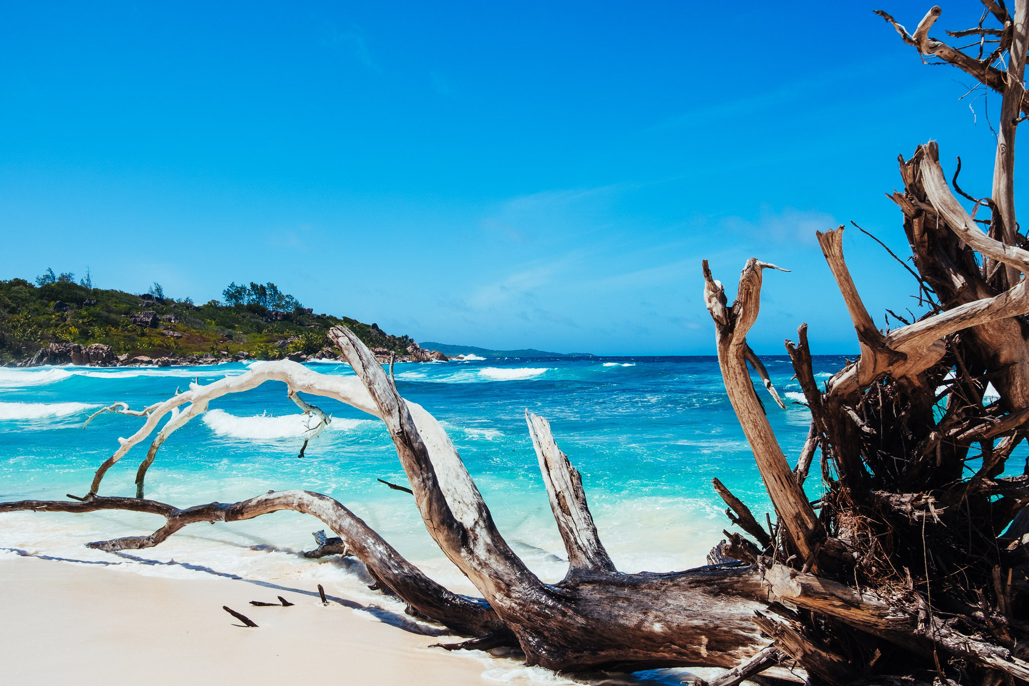Seychellen 2025 fotoreportage vakantie
