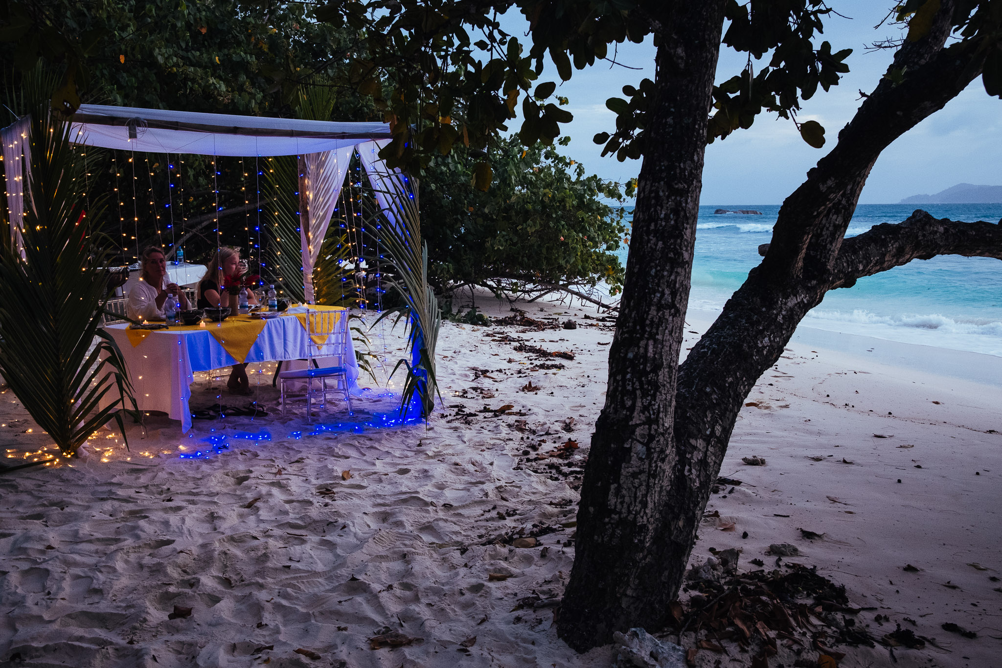 Seychellen 2025 fotoreportage vakantie