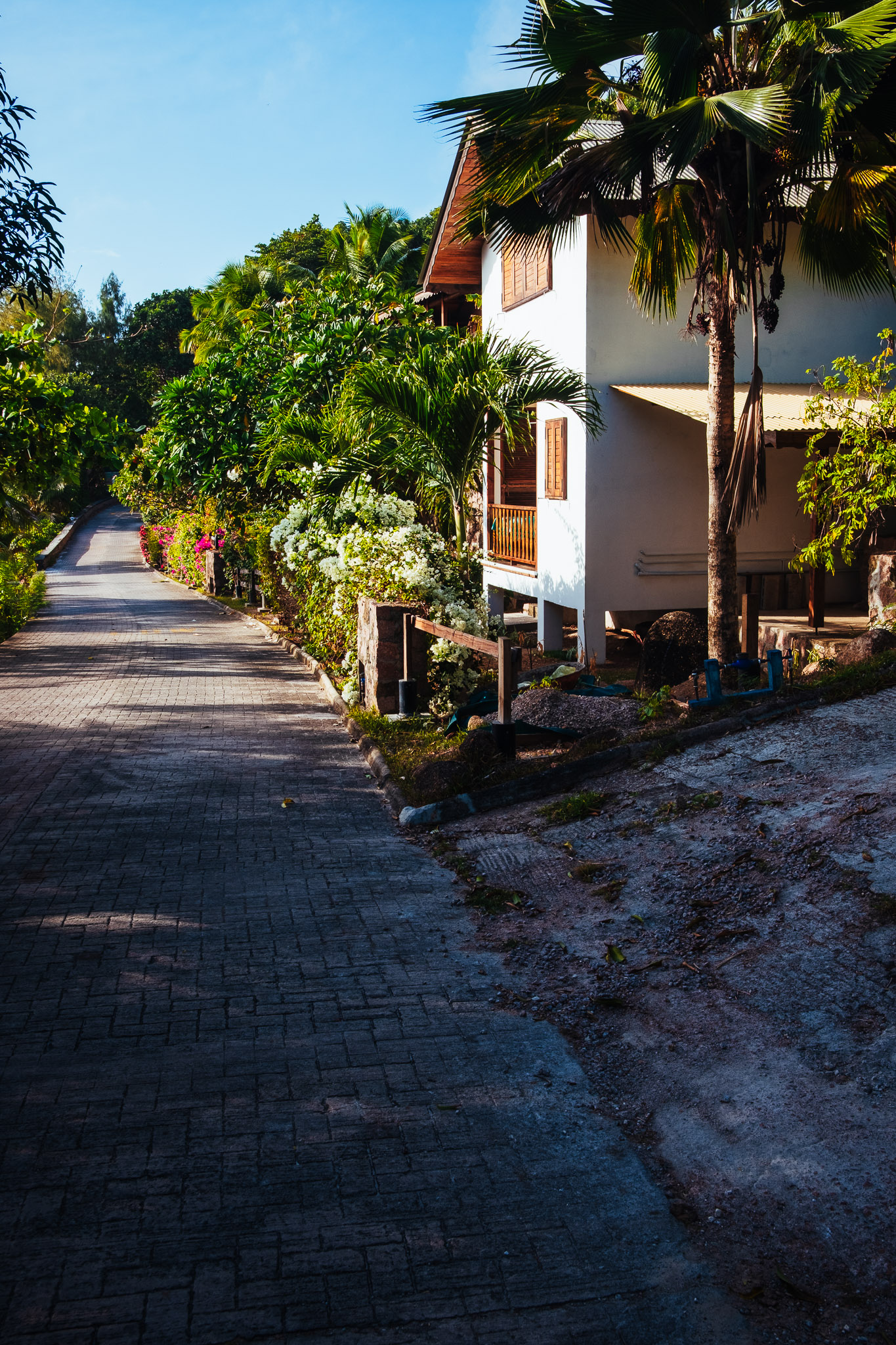 Seychellen 2025 fotoreportage vakantie