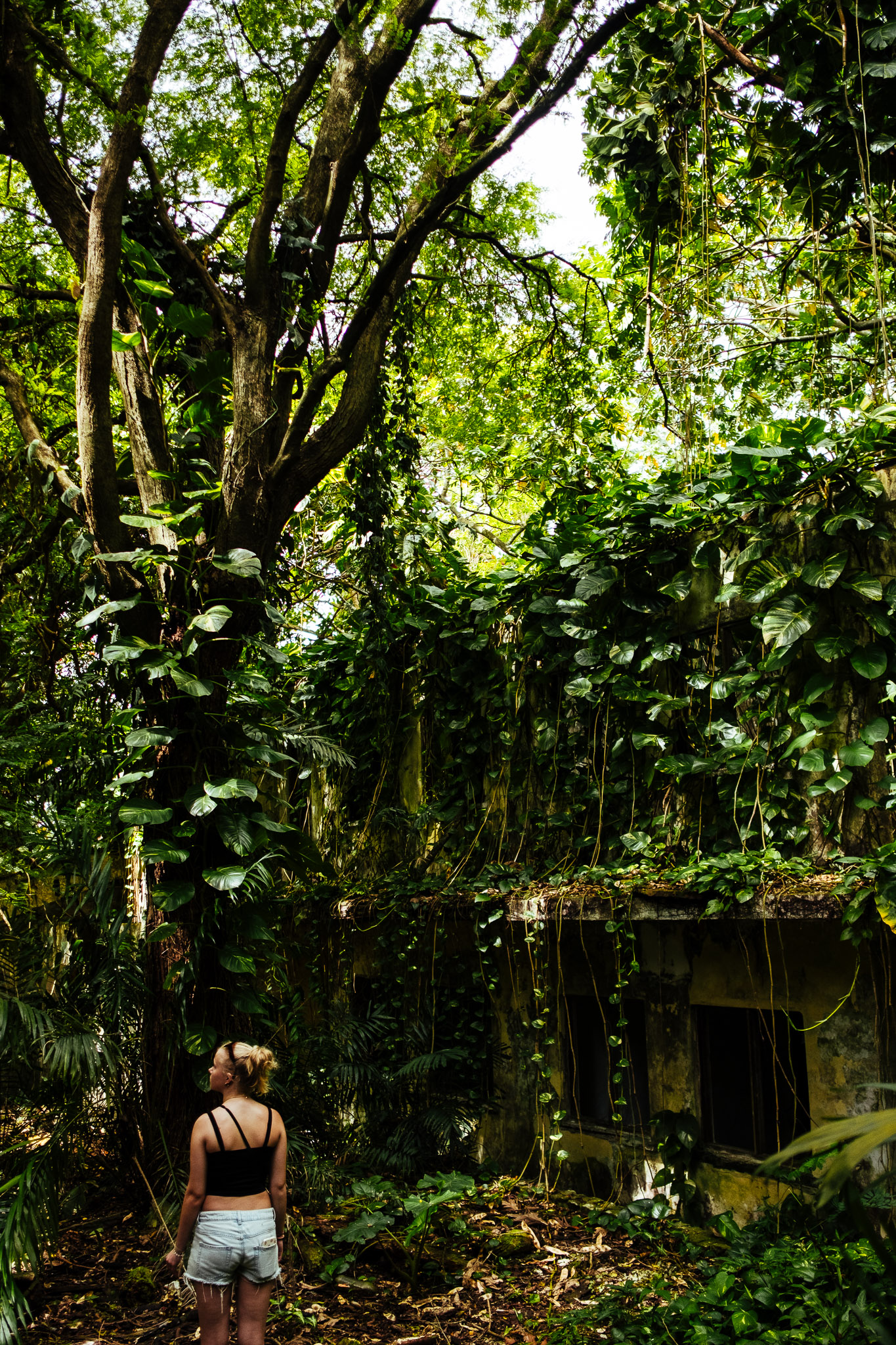 Seychellen 2025 fotoreportage vakantie verlaten resort